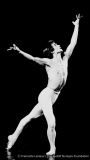 Apollon - BO768